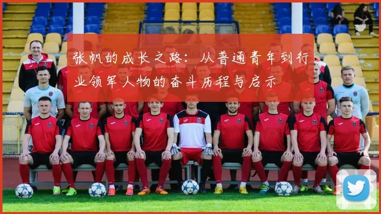 张帆的成长之路：从普通青年到行业领军人物的奋斗历程与启示