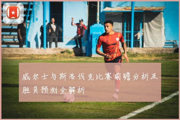 威尔士与斯洛伐克比赛前瞻分析及胜负预测全解析