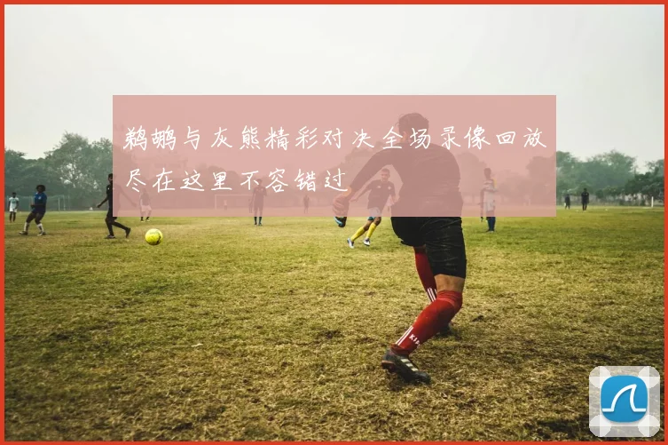 鹈鹕与灰熊精彩对决全场录像回放尽在这里不容错过