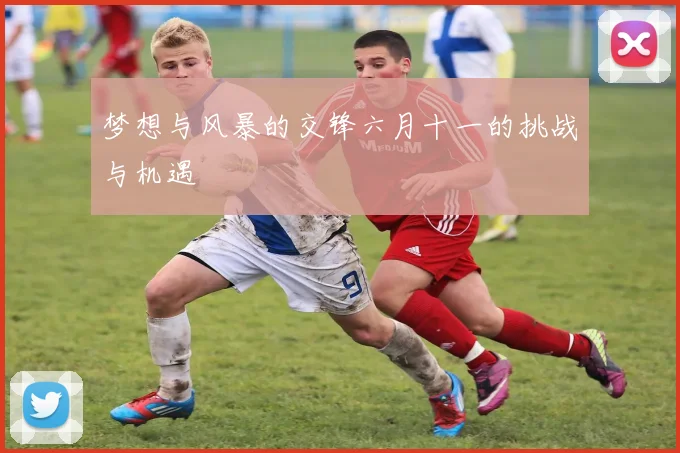梦想与风暴的交锋六月十一的挑战与机遇