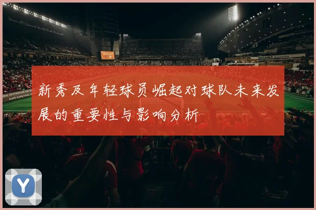 新秀及年轻球员崛起对球队未来发展的重要性与影响分析