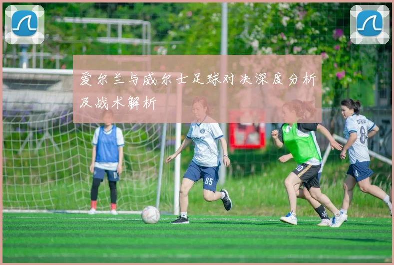 爱尔兰与威尔士足球对决深度分析及战术解析