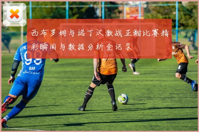 西布罗姆与诺丁汉激战正酣比赛精彩瞬间与数据分析全记录