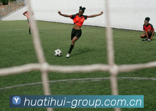 华体会平台生态图